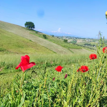 Gli Amici Del Tubarello Bed & Breakfast Roseto Degli Abruzzi