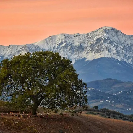 Gli Amici Del Tubarello