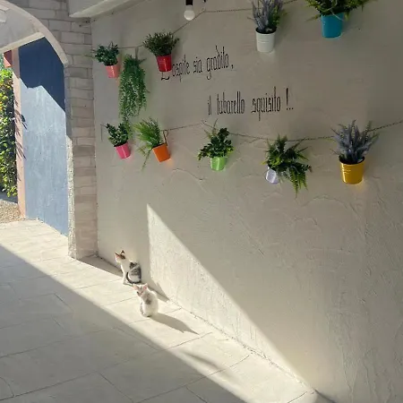 Bed & Breakfast Gli Amici Del Tubarello Roseto Degli Abruzzi