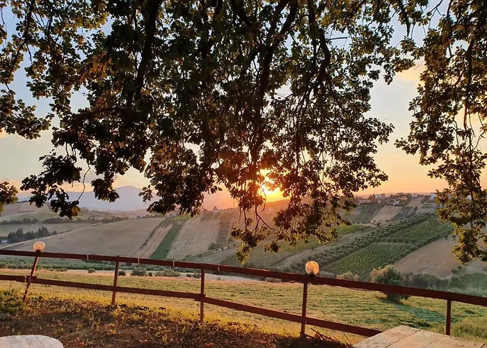 Gli Amici Del Tubarello