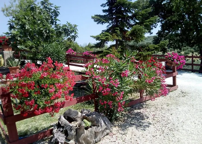 Gli Amici Del Tubarello 3*