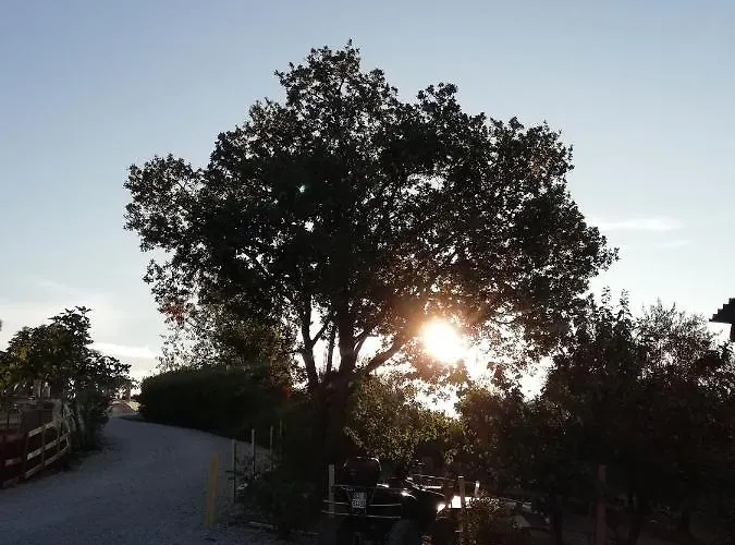 Gli Amici Del Tubarello Bed & Breakfast 3*