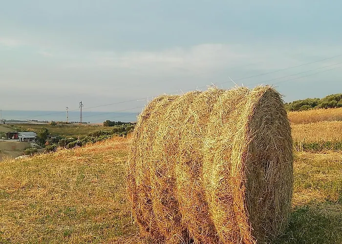 Gli Amici Del Tubarello 3*