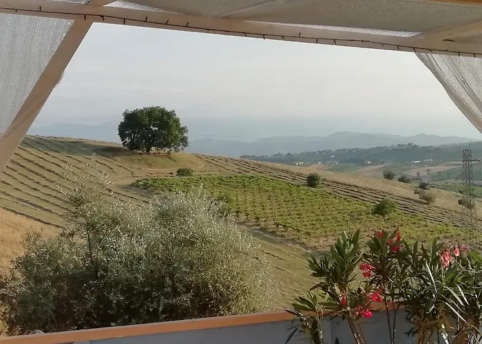 Gli Amici Del Tubarello