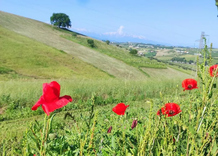 Gli Amici Del Tubarello Bed & Breakfast Roseto Degli Abruzzi