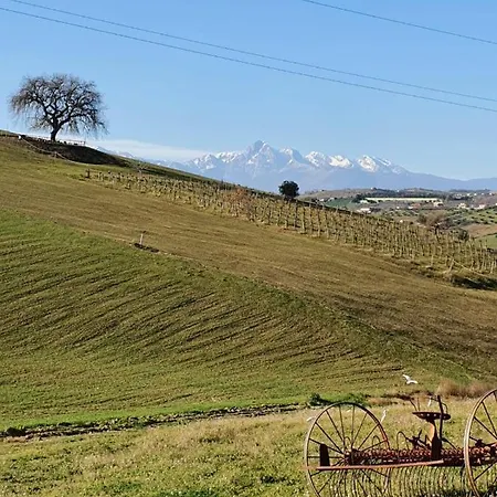 Gli Amici Del Tubarello Bed & Breakfast