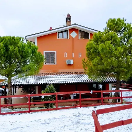 Gli Amici Del Tubarello Bed & Breakfast
