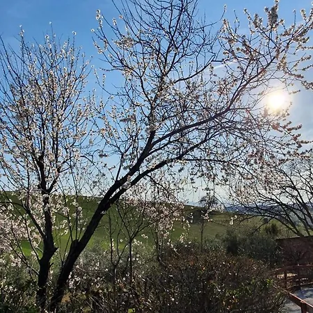 Gli Amici Del Tubarello