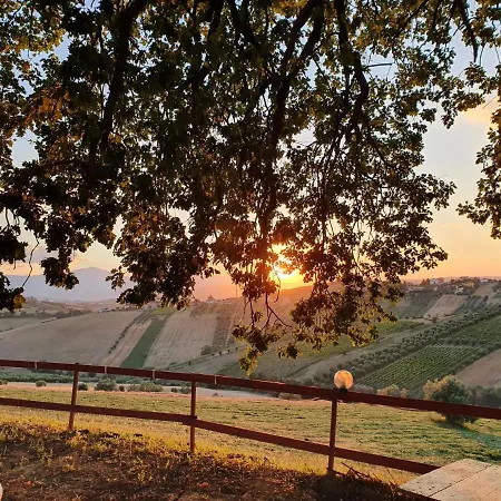 Gli Amici Del Tubarello