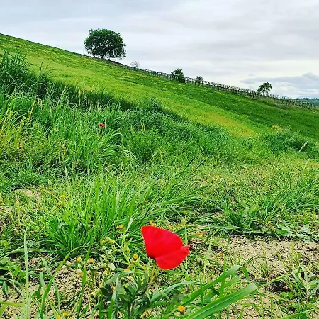 Gli Amici Del Tubarello רוזטו דליי אברוצי