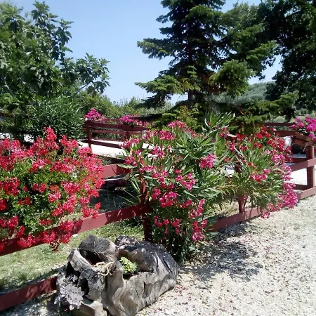 Gli Amici Del Tubarello 3*