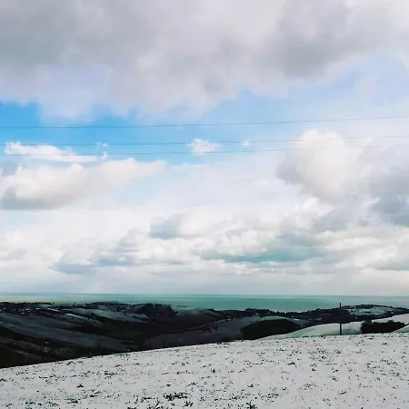 Gli Amici Del Tubarello