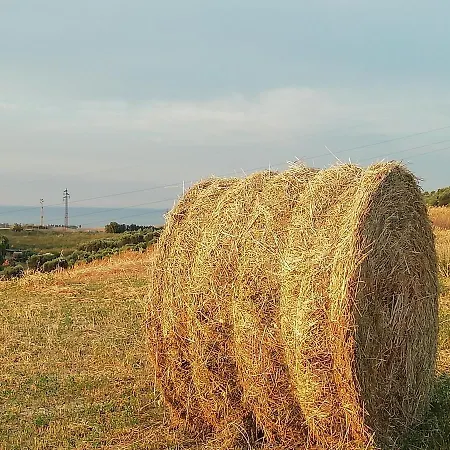 Gli Amici Del Tubarello 3*