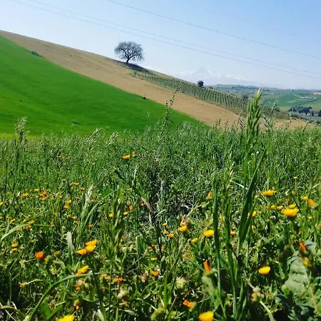 ベッド・アンド・ブレックファスト Gli Amici Del Tubarello ロゼート・デッリ・アブルッツィ
