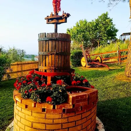 Gli Amici Del Tubarello Roseto Degli Abruzzi