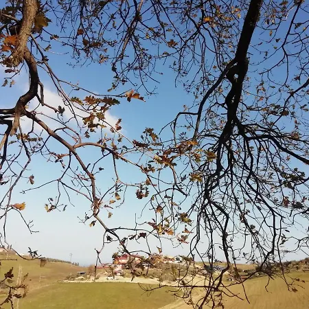 Gli Amici Del Tubarello 3* Roseto Degli Abruzzi