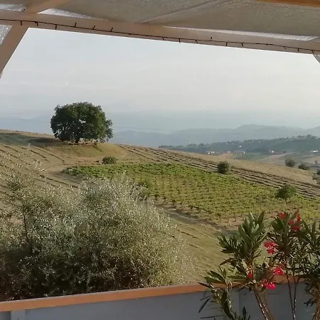 Gli Amici Del Tubarello