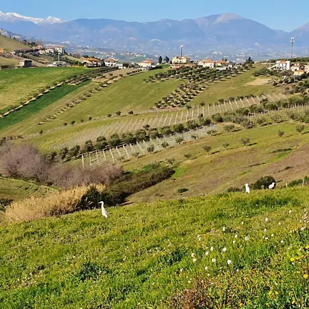 לינה וארוחת בוקר Gli Amici Del Tubarello רוזטו דליי אברוצי