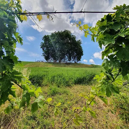 Gli Amici Del Tubarello Bed and Breakfast Roseto Degli Abruzzi