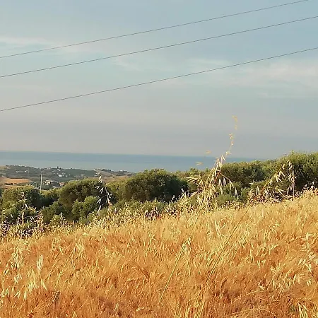 Gli Amici Del Tubarello 3*