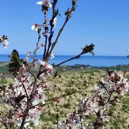 Gli Amici Del Tubarello Bed & Breakfast *