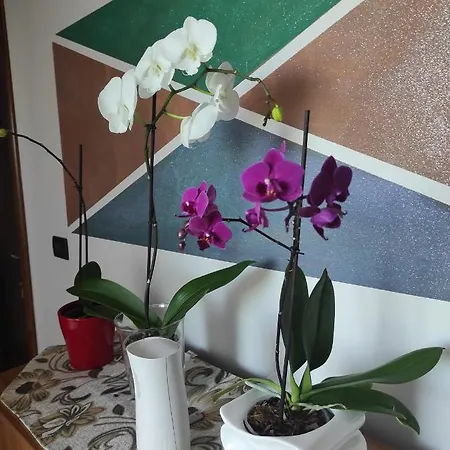 לינה וארוחת בוקר Gli Amici Del Tubarello