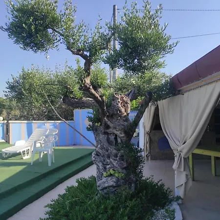 Gli Amici Del Tubarello 3* רוזטו דליי אברוצי