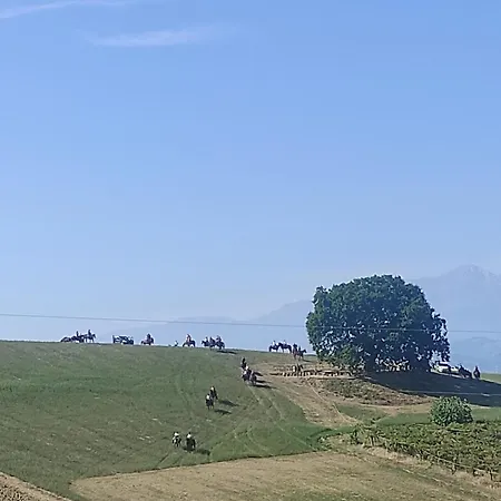 Gli Amici Del Tubarello 3*