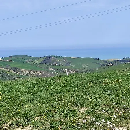 Gli Amici Del Tubarello Bed and Breakfast Roseto Degli Abruzzi