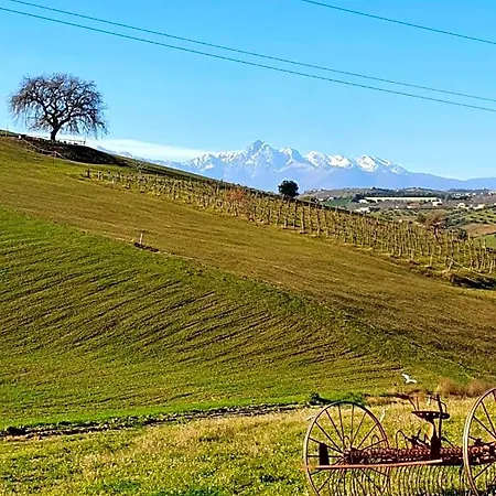 Bed & Breakfast Gli Amici Del Tubarello Roseto Degli Abruzzi