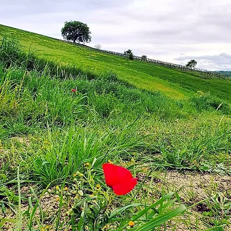 Gli Amici Del Tubarello Bed & Breakfast 3*