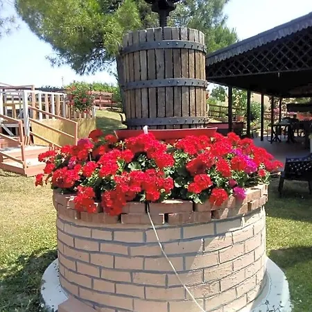 Gli Amici Del Tubarello Bed & Breakfast