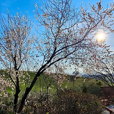 Bed & Breakfast Gli Amici Del Tubarello