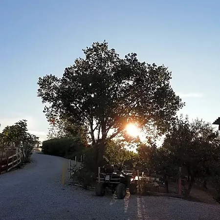 Bed & Breakfast Gli Amici Del Tubarello 3*