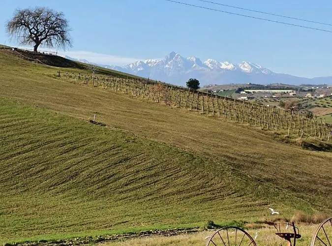 Gli Amici Del Tubarello Bed & Breakfast