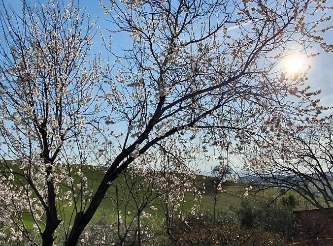 Gli Amici Del Tubarello