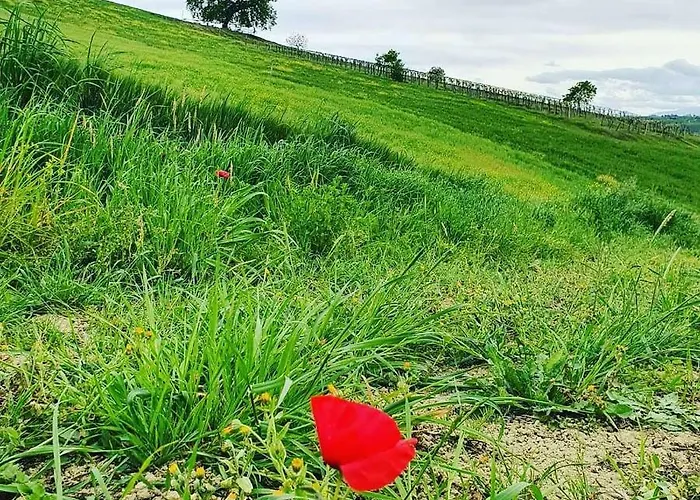 Gli Amici Del Tubarello Roseto Degli Abruzzi