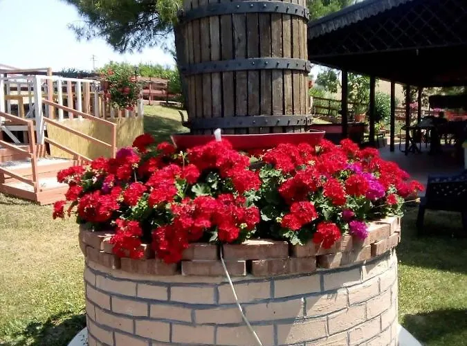 Gli Amici Del Tubarello Roseto Degli Abruzzi