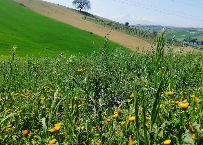 Frühstückspension Gli Amici Del Tubarello Roseto Degli Abruzzi
