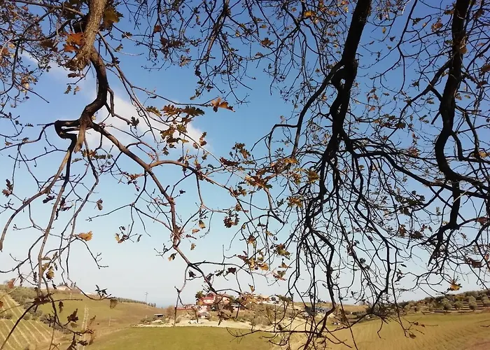 Gli Amici Del Tubarello 3* Roseto Degli Abruzzi
