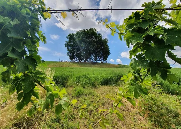 Bed & Breakfast Gli Amici Del Tubarello 3*