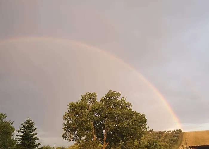 Gli Amici Del Tubarello Frühstückspension