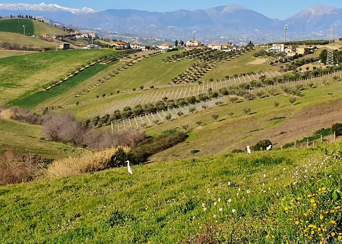 Frühstückspension Gli Amici Del Tubarello Roseto Degli Abruzzi