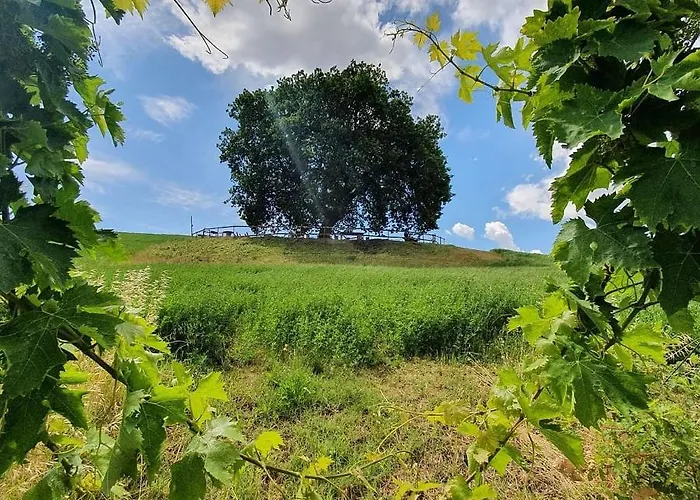 Gli Amici Del Tubarello Bed & Breakfast Roseto Degli Abruzzi