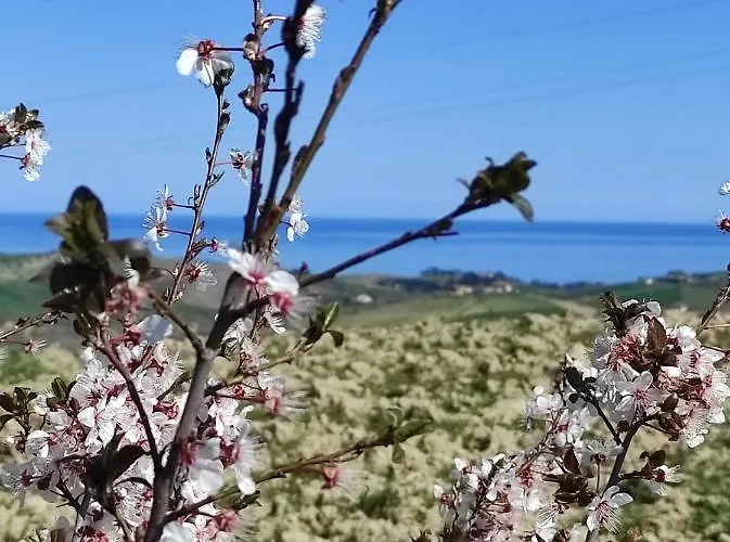 Gli Amici Del Tubarello Bed & Breakfast 3*