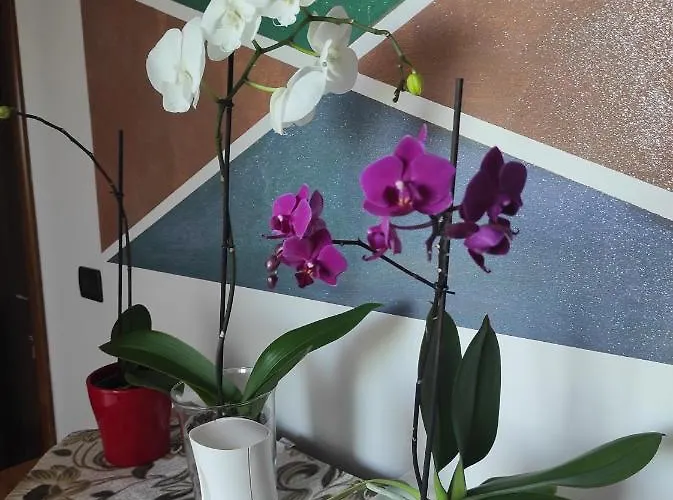 Bed & Breakfast Gli Amici Del Tubarello