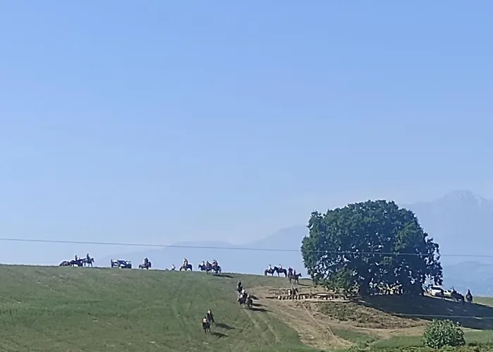 Gli Amici Del Tubarello 3*