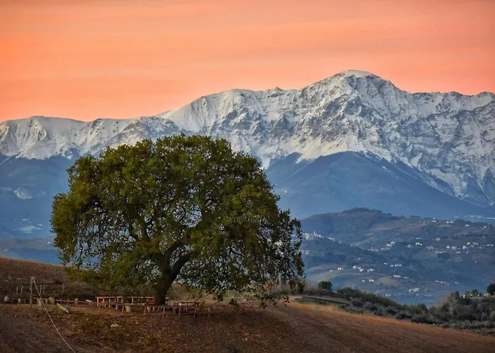 Gli Amici Del Tubarello