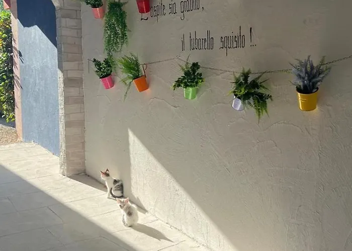 Frühstückspension Gli Amici Del Tubarello Roseto Degli Abruzzi