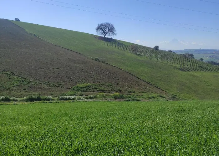 Frühstückspension Gli Amici Del Tubarello